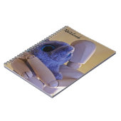 ビッグハグノートブック ノートブック (左側)