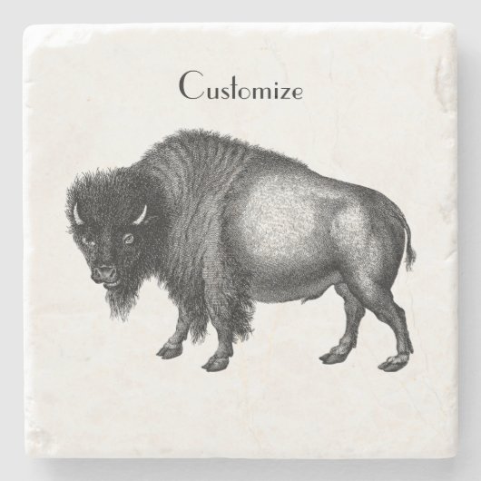 ビッグバイソンバッファローサンダー_コーブ ストーンコースター (正面)