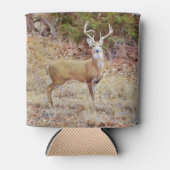 ビッグバックディアークーラーボックス 缶クーラー (正面)