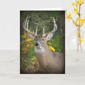 ビッグバック誕生日 カード (黄色い花)