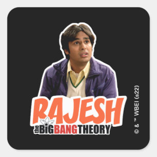 ビッグバン理論 Rajesh スクエアシール