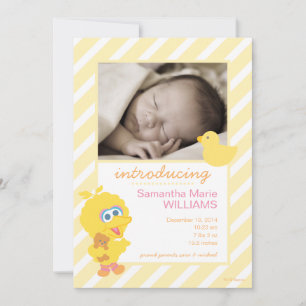 ビッグバードの誕生発表 案内状