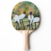 ビッグバードコウノトリ