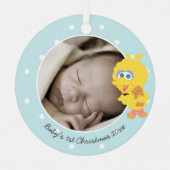 ビッグバード |ベビー初めてのクリスマス – 名前の追加 メタルオーナメント (正面)