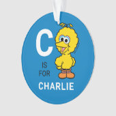 ビッグバード |名パーソナライズされた前(写真付き) オーナメント (正面)