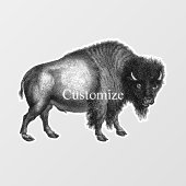 ビッグビソンバッファローサンダー_コーブ ウィンドウサイン (シート)