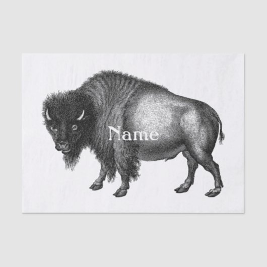 ビッグビソンバッファローサンダー_コーブ  薄葉紙 (正面)