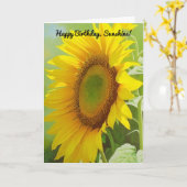 ビッグビューティフルヒマワリハッピーバースデーサンシャイン カード (黄色い花)