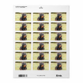 ビッグビューティフルロットワイラー ラベル (フルシート)