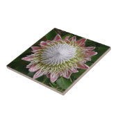 ビッグピンクとホワイトフラワーの自然写真 タイル (側面)