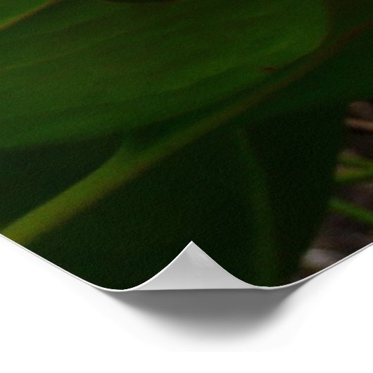 ビッグピンクとホワイトフラワーの自然写真 ポスター (角)