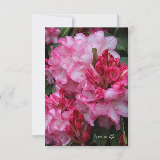 ビッグピンクのシャクナゲ ノートカード (正面)