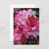 ビッグピンクのシャクナゲ ノートカード (正面/裏面)