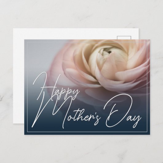 ビッグピンクのバラと母の日が幸せ シーズンポストカード (正面/裏面)