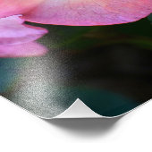 ビッグピンクロードデンドロン開花フローラ フォトプリント            (角)