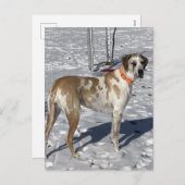 ビッグファウネクイングレートダーンドッグサドアイズピエロ顔 シーズンポストカード (正面/裏面)