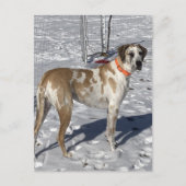 ビッグファウネクイングレートダーンドッグサドアイズピエロ顔 シーズンポストカード (正面)