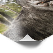 ビッグフットサスカッチポートレート写真の拡大 フォトプリント (角)