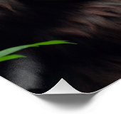 ビッグフットサスカッチ食べ物を与えズドラゴン ポスター (コーナー)