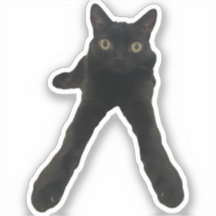 ビッグフットジンクス 猫