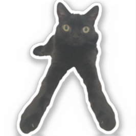 ビッグフットジンクス 猫 シール