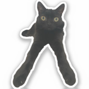 ビッグフットジンクス 猫 シール