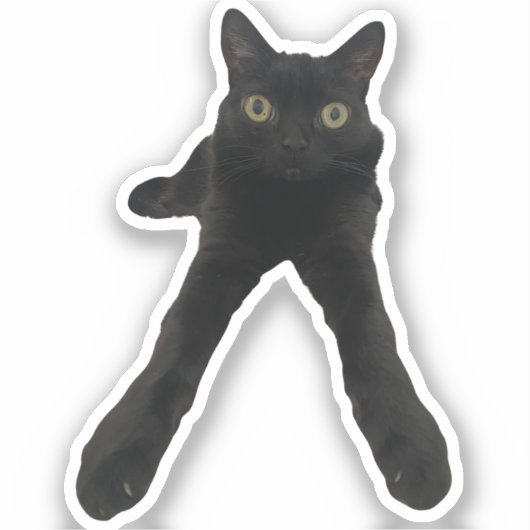 ビッグフットジンクス 猫 シール (正面)