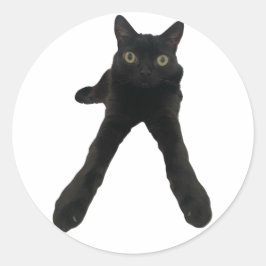 ビッグフットジンクス 猫 ラウンドシール