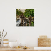 ビッグフット科 ポスター (キッチン)