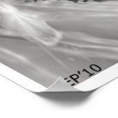 ビッグフット・イン・シェード ポスター (角)