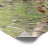 ビッグフット ポスター (角)