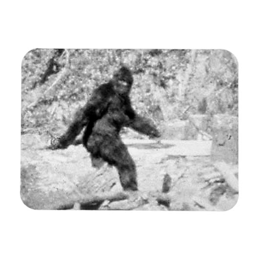 ビッグフット マグネット (横)