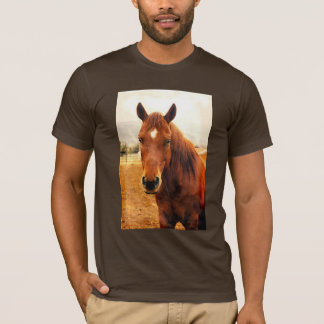 ビッグブラクストンメンズTシャツ Tシャツ