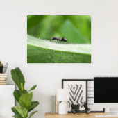 ビッグブラックアリ ポスター (ホームオフィス)