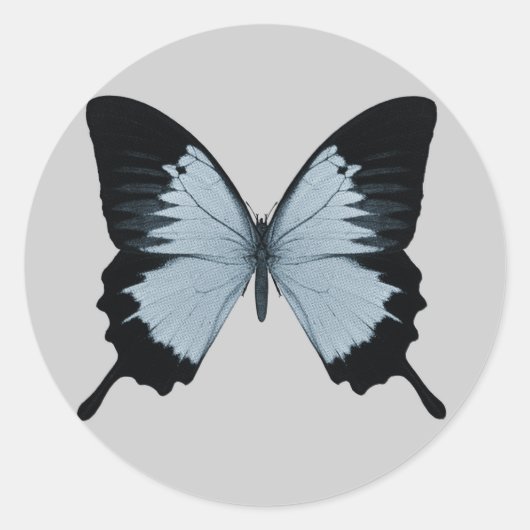 ビッグブルーとブラックバタフライ ラウンドシール (正面)