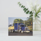 ビッグブルーセミ ポストカード (スタンド正面)