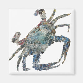 ビッグブルー磁石 マグネット