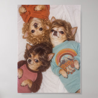 ビッグヘアがかっこいいチワワの3人組 1980年代 ポスター
