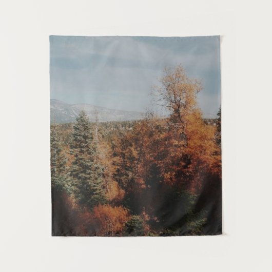 ビッグベア – カリフォルニア タペストリー (正面)