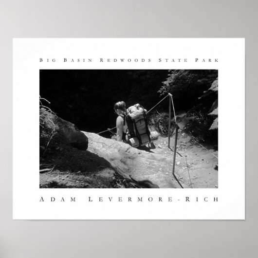 ビッグベイスンレッドウッズ州パーク ポスター (正面)