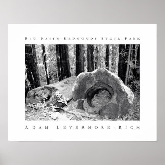 ビッグベイスンレッドウッズ州パーク ポスター