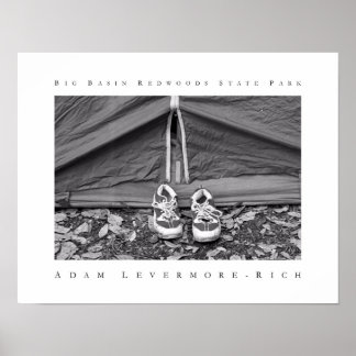 ビッグベイスンレッドウッズ州パーク ポスター