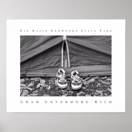 ビッグベイスンレッドウッズ州パーク ポスター (正面)