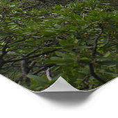 ビッグベンドキャニオン ポスター (角)