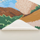 ビッグベンドナショナルパークリオグランデヴィンテージ シェルパブランケット (3/4)