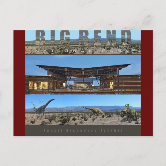 ビッグベンドNAT'L PARK-テキサス州 – 化石展 –  ポストカード (正面)