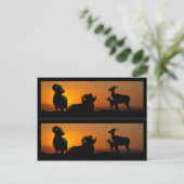 ビッグホルンシープブックマーカー ポストカード (スタンド正面)