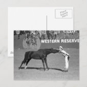 ビッグホースキス, 1940 ポストカード (正面/裏面)