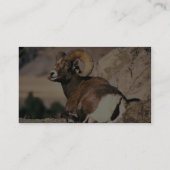 ビッグホーンのラム 名刺 (裏面)