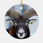 ビッグホーンラムヒツジ – Mouflon セラミックオーナメント (正面)